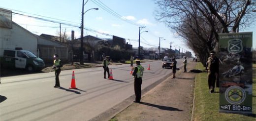 Angelino.cl - Lanzan Plan Seguridad Vial Fiestas Patrias