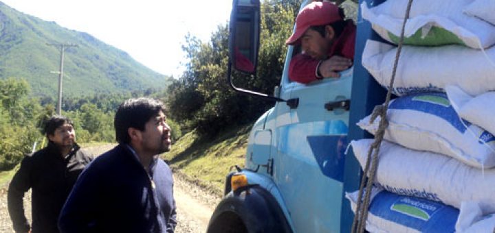 CONADI entregó 120 toneladas de alimento para animales, en apoyo a la producción agropecuaria de comunidades pehuenches en Alto Bío Bío