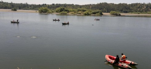 Tras intensa búsqueda, fue hallado sin vida menor de 13 años extraviado en el Río Bío Bío