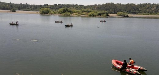 Tras intensa búsqueda, fue hallado sin vida menor de 13 años extraviado en el Río Bío Bío