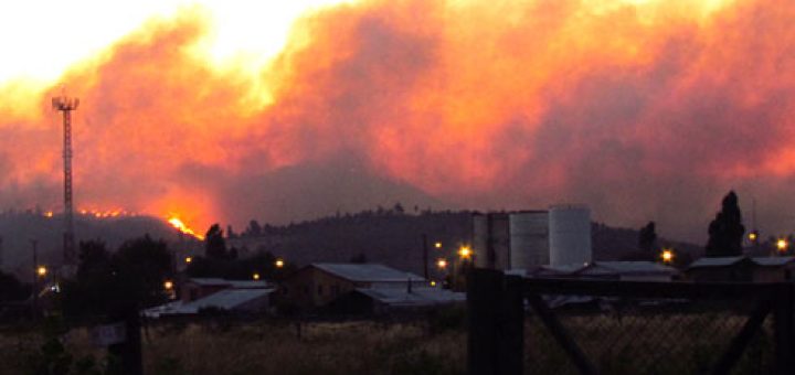 Celulosa Arauco apunta a intencionalidad en incendios que han destruido cerca de 21 mil hectáreas en la Región