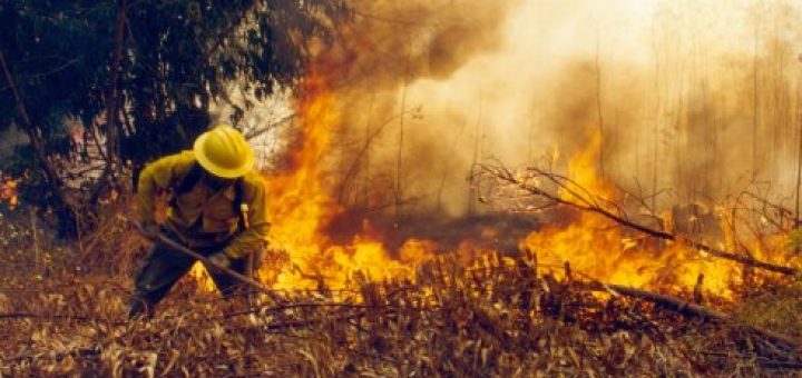 Federación de Sindicatos Forestales denuncian que contratistas obligan a trabajadores a combatir incendios