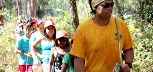 Contentos por la experiencia vivida se mostraron jóvenes en recambio de estudiantes del Centro Recreativo Popular Llano Blanco