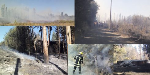 Incendio forestal consume iglesia evangélica, casa, y genera pánico en vecinos de Camino el Olivo