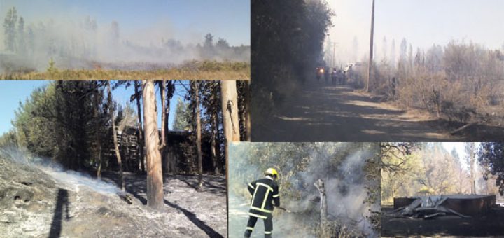 Incendio forestal consume iglesia evangélica, casa, y genera pánico en vecinos de Camino el Olivo