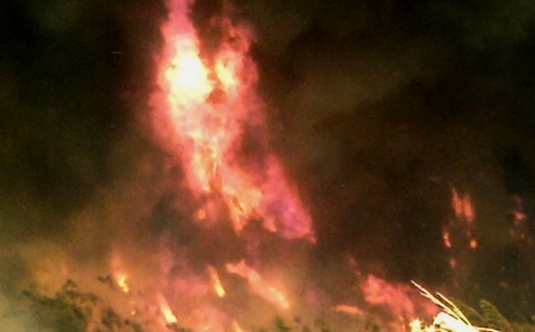 Incendios en Laja y Los Ángeles mantienen en Alerta Roja a Biobío  