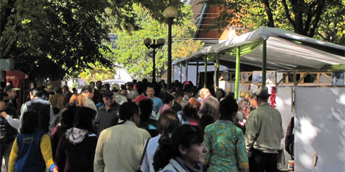 En Plaza Pinto se realizó I Feria Campesina de Los Ángeles