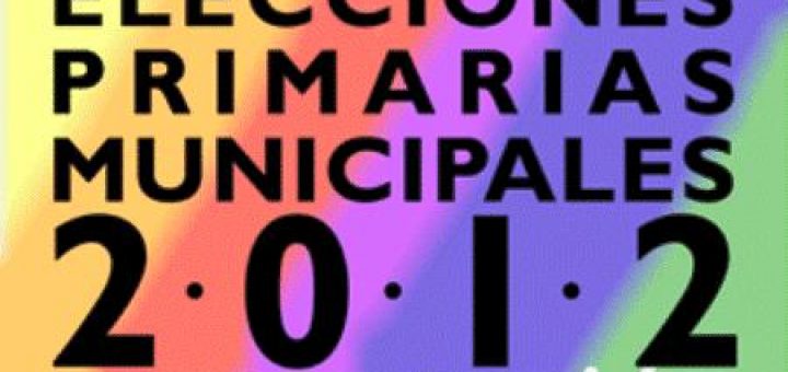 En 5 comunas de la provincia de Bio Bío se llevó a cabo esta interesante jornada democrática