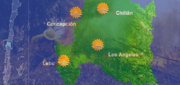 Preocupación en Conaf por exceso de quemas y calor en la Región del Bio Bío