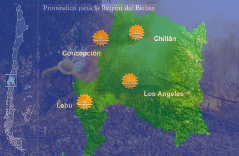 Preocupación en Conaf por exceso de quemas y calor en la Región del Bio Bío