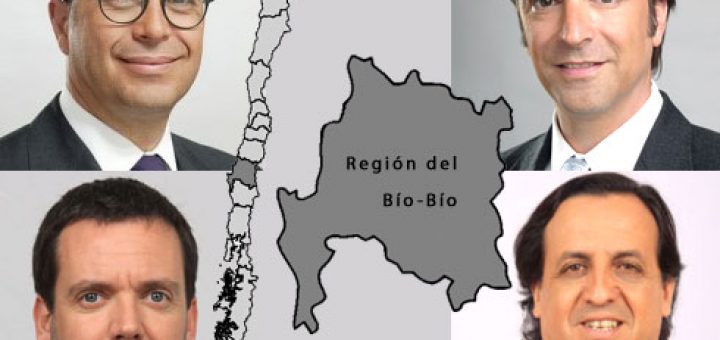 Felipe Harboe, Gutemberg Martinez, Luciano Cruz-Coke y hasta Rodrigo Hinzpeter han sonado como posibles opciones senatoriales en Bio Bio
