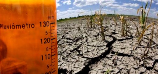 Pese a las pocas precipitaciones que cayeron hoy (viernes 19), compleja se hace la situación de aprovisionamiento de agua para diversos sectores rurales de Bio Bío