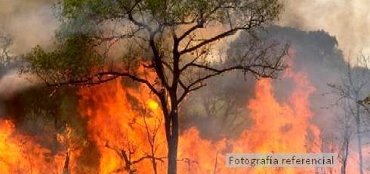 Alerta Roja por un incendio que afecta a una reserva de bosque nativo en la comuna de Quilaco