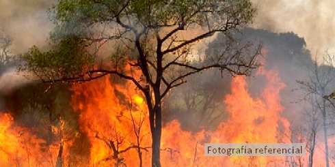 Alerta Roja por un incendio que afecta a una reserva de bosque nativo en la comuna de Quilaco