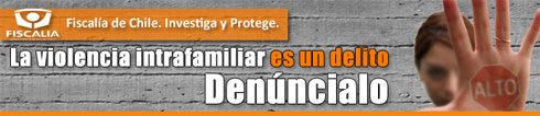 Seminario desarrollado en Los Ángeles busca entregar mayor orientación a víctimas de violencia intrafamiliar