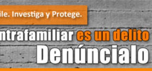 Seminario desarrollado en Los Ángeles busca entregar mayor orientación a víctimas de violencia intrafamiliar