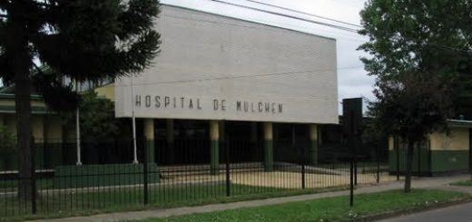 En el Hospital de Mulchén y fuera de riesgo vital se encuentra este hombre contagiado con Virus Hanta