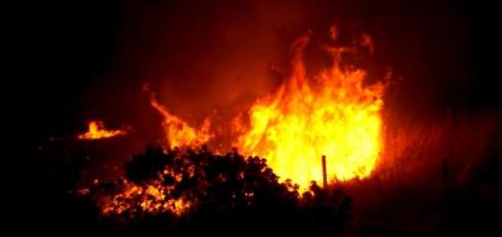 Bomberos debió combatir incendio aparente intencional de pastizales en sector sur