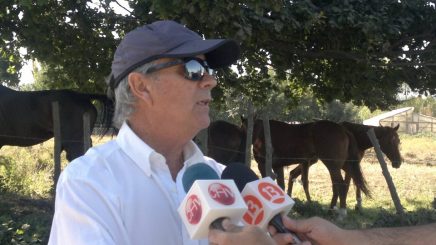 Dueño de caballos fina sangre robados de Club Hípico, sospecha de posible mafia local