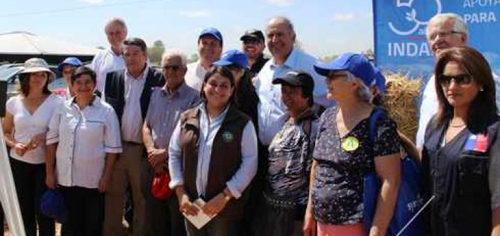 Gran Día de Campo 2013; Masiva convocatoria de agricultores Prodesal Indap en Los Ángeles