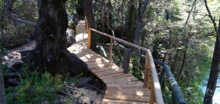 Parque Nacional Laguna del Laja celebra 55 años llevando a cabo mejoras en senderos y entorno