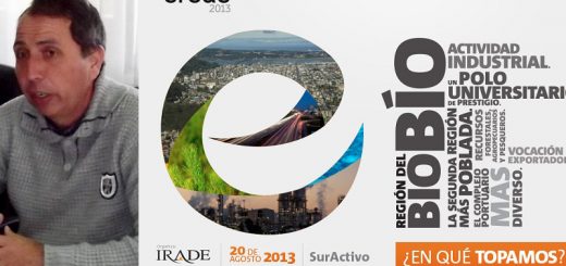 Encuentro Regional de Desarrollo EREDE 2013: ¿Y la Provincia de Biobío?