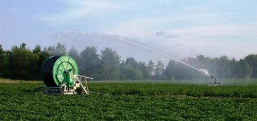 Vence plazo para que pequeños productores INDAP postulen proyectos de riego