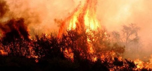 Mega incendio de Quillón: 13 años de cárcel pretende la Fiscalía para acusado