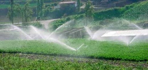 Más de un millar de pequeños agricultores de la zona sur podrán mejorar eficiencia del agua para regadío