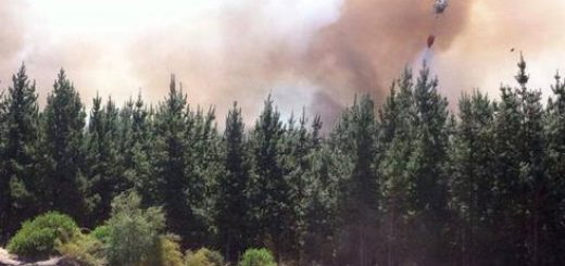 ONEMI declara esta tarde Alerta Roja para toda la Región del Bío-Bío por incendios en Florida y Laja
