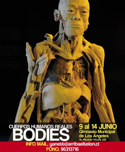 Bodies, Cuerpos Reales / Los Ángeles